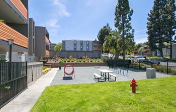 dog park at Bayside Apartments in Pinole, CA